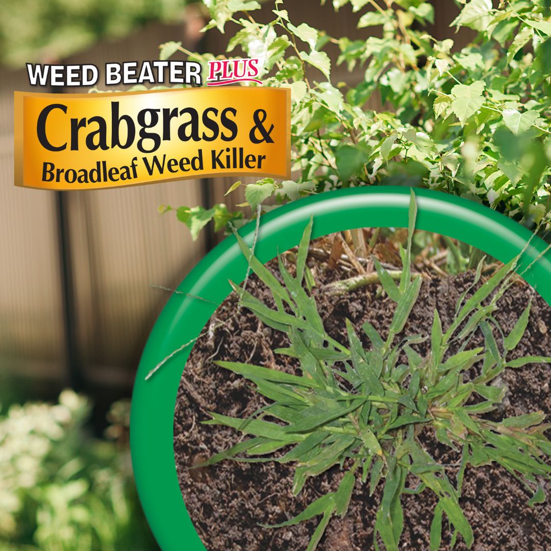 Weed Beater Plus Crabgrass & Broadleaf Weed Killer Spray – Bonide – 32 oz